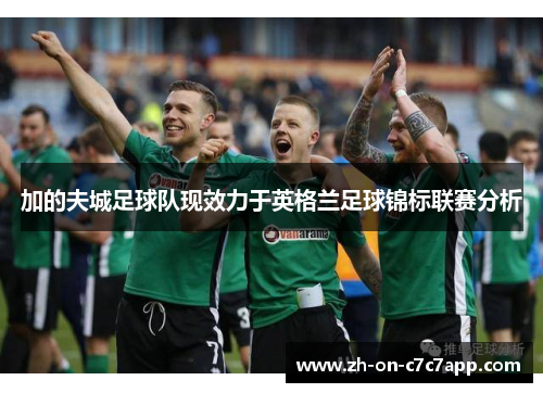 加的夫城足球队现效力于英格兰足球锦标联赛分析