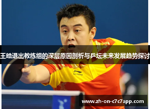 王皓退出教练组的深层原因剖析与乒坛未来发展趋势探讨